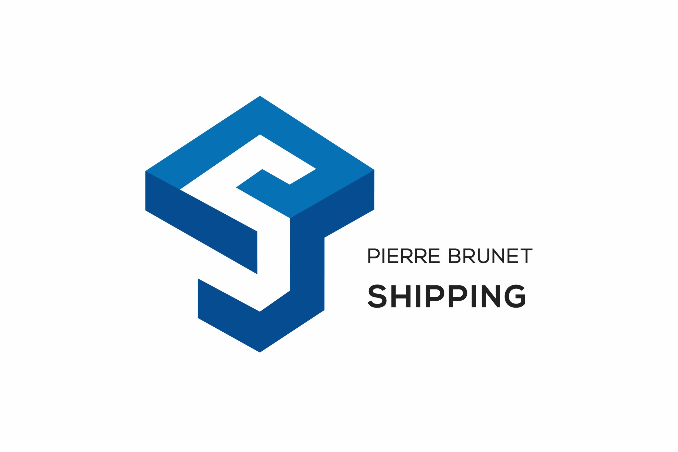 Logo Item